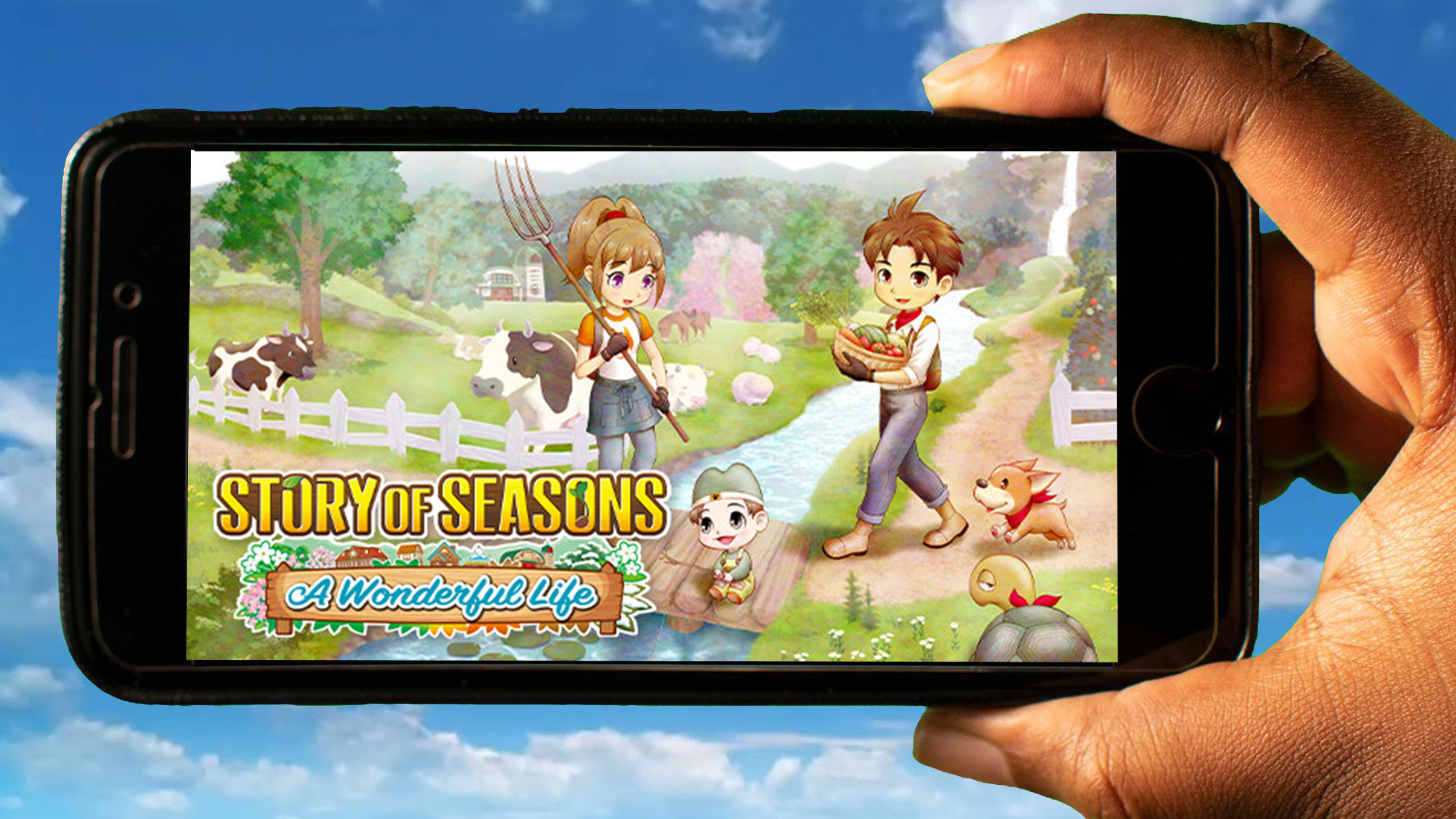 Story of Seasons A Wonderful Life 60FPS IPS Patch   - The  Independent Video Game Community