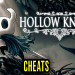 Hollow Knight Cheats